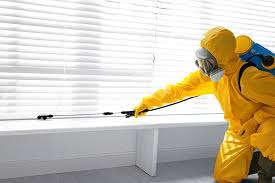 Best Emergency Pest Control  in Morrice, MI